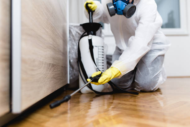 Best Wasp Removal Services  in Pompton Plains, NJ
