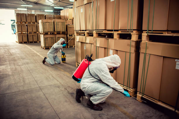 Best Bed Bug Extermination  in Pompton Plains, NJ
