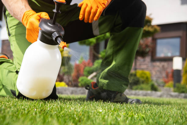 Reliable Pompton Plains, NJ Pest Control Solutions