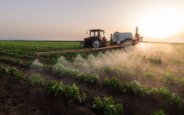 Reliable Pompton Plains, NJ Pest Control Solutions