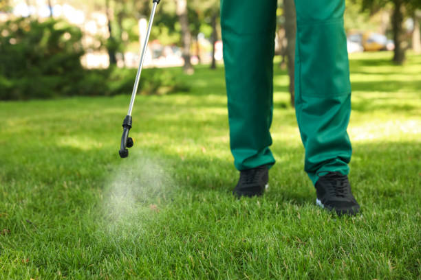 Best Local Pest Control Services  in Pompton Plains, NJ