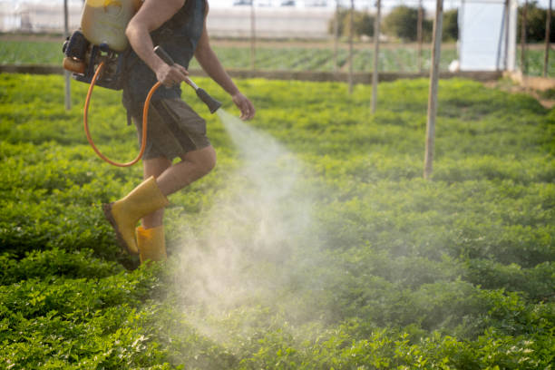 Best Wildlife Control Services  in Pompton Plains, NJ