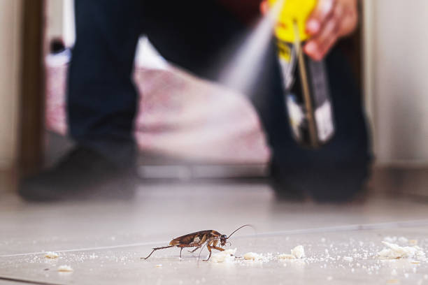 Best Wasp Removal Services  in Pompton Plains, NJ