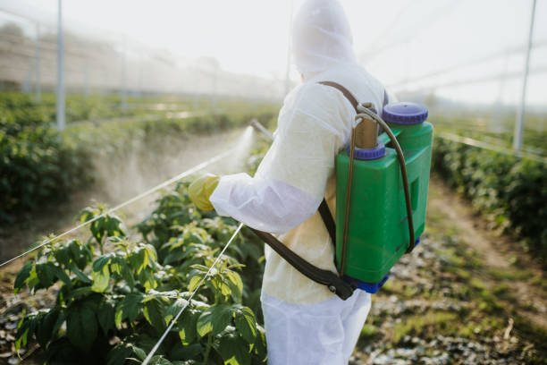 Best Ant Control Services  in Pompton Plains, NJ